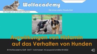Auswirkungen von Histamin auf das Verhalten von Hunden